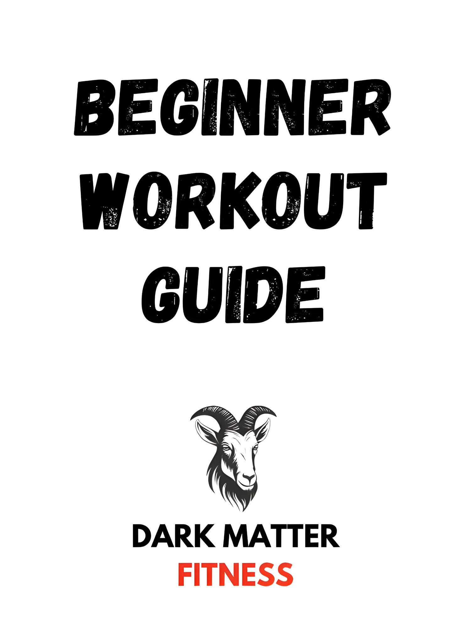 Beginner Workout Guide- PDF